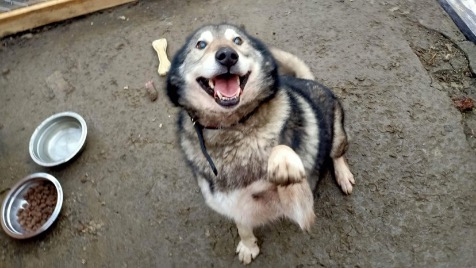 Zdjęcie aktualizacji 115 229