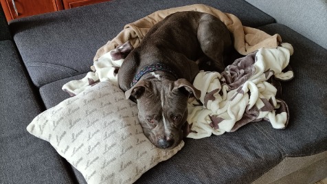 Zdjęcie aktualizacji 115 591