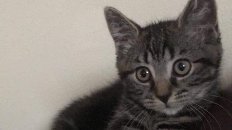 Zdjęcie aktualizacji 115 614