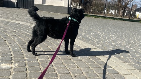 Zdjęcie aktualizacji 115 621