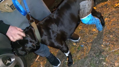 Zdjęcie aktualizacji 115 987