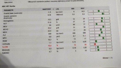 Zdjęcie aktualizacji 116 144