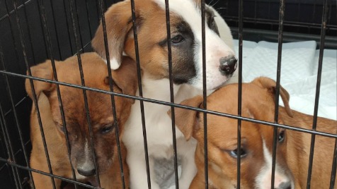 Zdjęcie aktualizacji 116 374