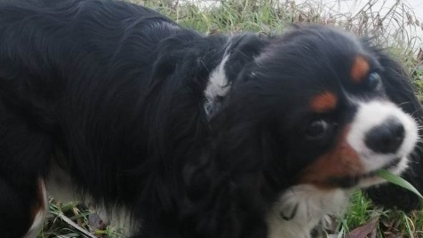 Zdjęcie aktualizacji 116 379