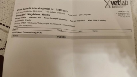 Zdjęcie aktualizacji 117 043