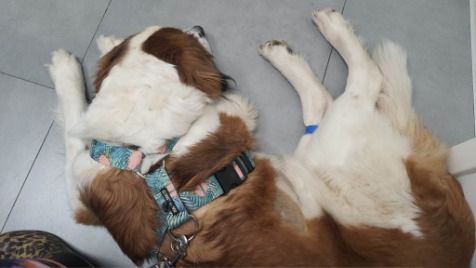 Zdjęcie aktualizacji 117 183