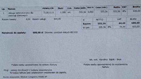 Zdjęcie aktualizacji 117 225
