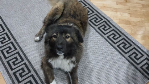 Zdjęcie aktualizacji 118 060