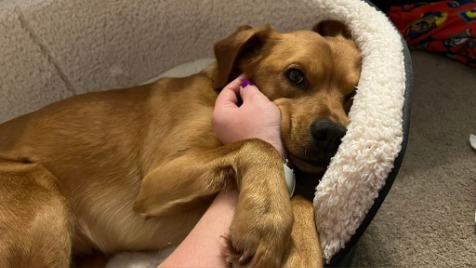 Zdjęcie aktualizacji 118 520