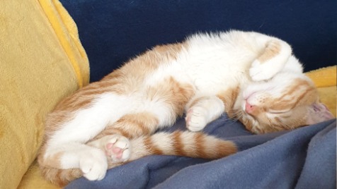 Zdjęcie aktualizacji 118 701