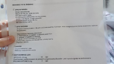 Zdjęcie aktualizacji 118 707