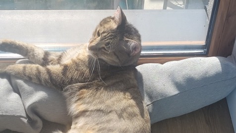 Zdjęcie aktualizacji 118 859