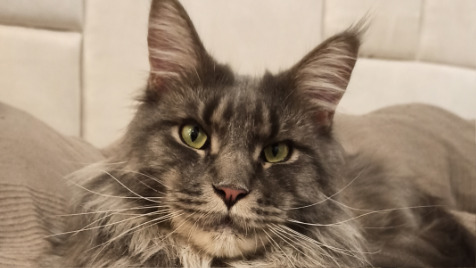 Zdjęcie aktualizacji 118 909