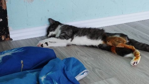 Zdjęcie aktualizacji 118 965