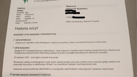 Zdjęcie aktualizacji 119 055