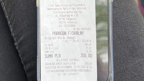 Zdjęcie aktualizacji 119 979