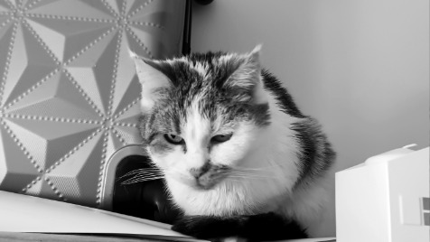 Zdjęcie aktualizacji 120 768