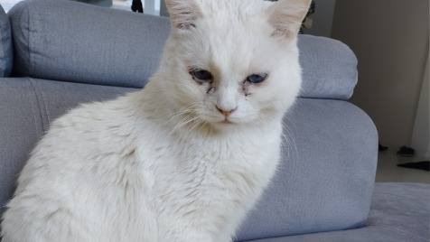 Zdjęcie aktualizacji 121 715