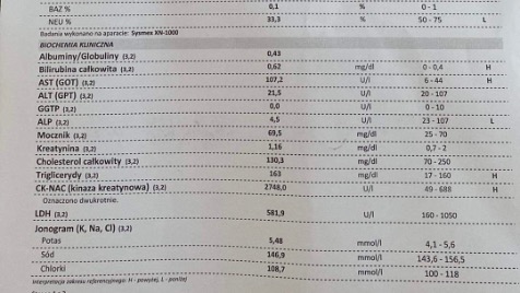 Zdjęcie aktualizacji 121 953