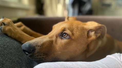 Zdjęcie aktualizacji 122 068