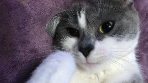 Zdjęcie aktualizacji 122 178