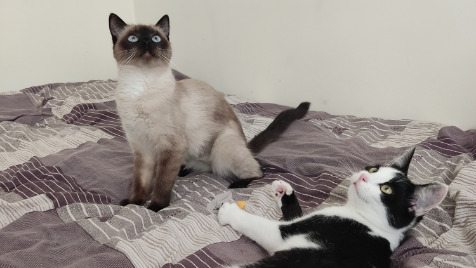 Zdjęcie aktualizacji 122 369