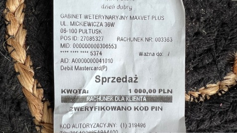 Zdjęcie aktualizacji 122 391