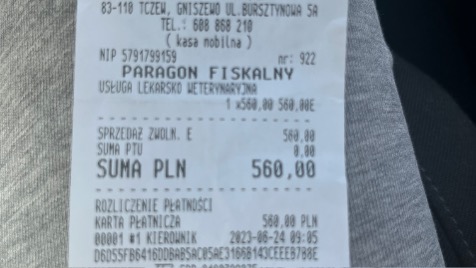 Zdjęcie aktualizacji 123 424