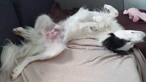 Zdjęcie aktualizacji 123 433