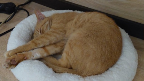 Zdjęcie aktualizacji 124 026