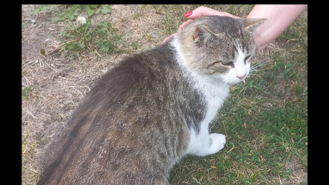 Zdjęcie aktualizacji 124 923