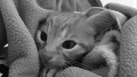 Zdjęcie aktualizacji 125 275