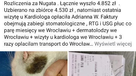 Zdjęcie aktualizacji 126 089