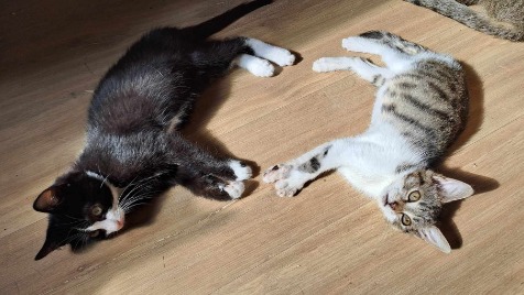 Zdjęcie aktualizacji 126 924