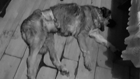 Zdjęcie aktualizacji 12 791