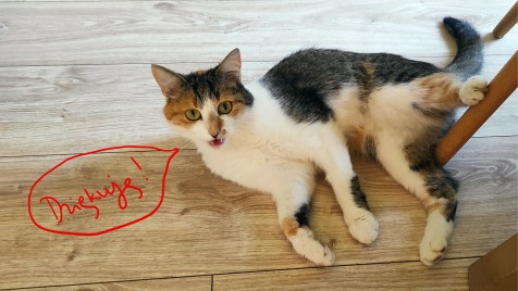 Zdjęcie aktualizacji 128 602