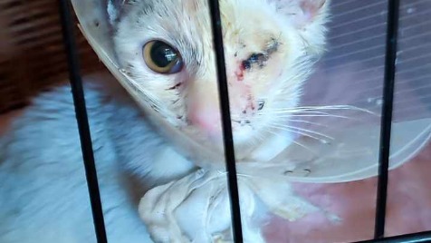 Zdjęcie aktualizacji 129 630