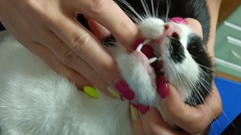 Zdjęcie aktualizacji 129 883