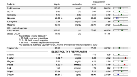 Zdjęcie aktualizacji 130 915