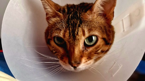 Zdjęcie aktualizacji 131 438