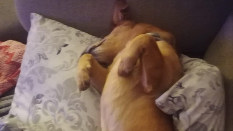 Zdjęcie aktualizacji 131 592