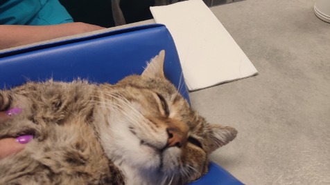 Zdjęcie aktualizacji 131 675