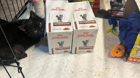 Zdjęcie aktualizacji 131 915