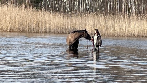 Zdjęcie aktualizacji 132 049