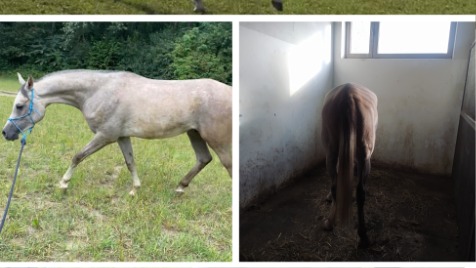 Zdjęcie aktualizacji 132 260