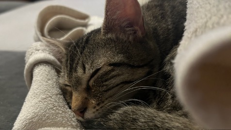 Zdjęcie aktualizacji 132 330