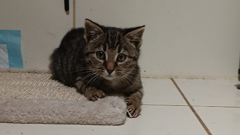 Zdjęcie aktualizacji 133 271