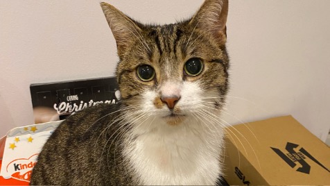 Zdjęcie aktualizacji 133 276