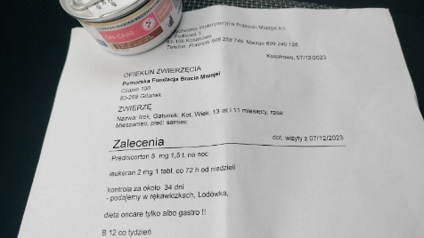 Zdjęcie aktualizacji 133 339