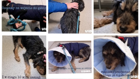 Zdjęcie aktualizacji 133 452